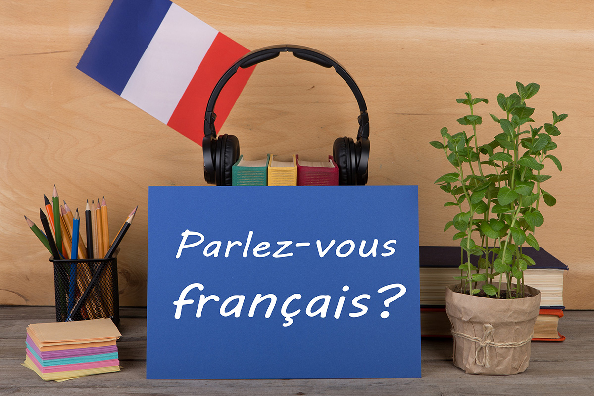 Je découvre mon niveau de français – Evaluating My French Proficiency